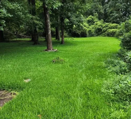 Expert residential landscaping for residential properties in Griffin, GA by GloverCuts