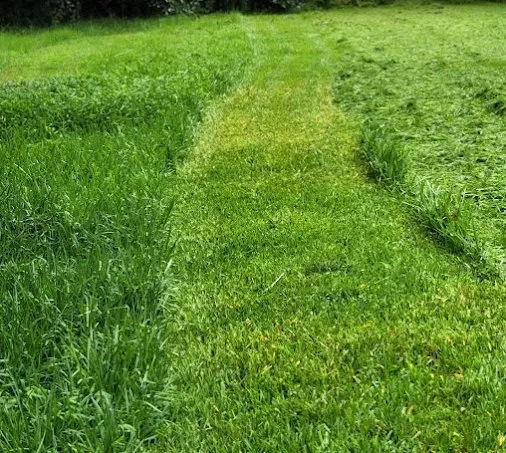 Custom residential landscaping in Griffin, GA - GloverCuts