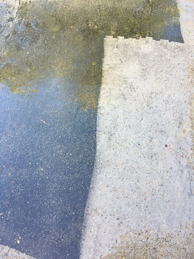 Professional garden landscaping for outdoor upgrades in Ruston, LA by Glover's Lawn Care