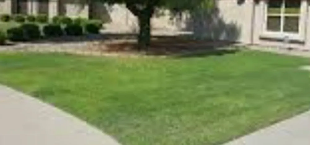 Local outdoor landscaping near you in Winterhaven, CA by Glow Bright Lighting & Irrigation
