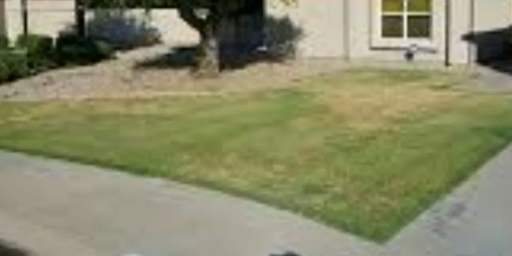 Professional outdoor landscaping near you across Winterhaven, CA - Glow Bright Lighting & Irrigation