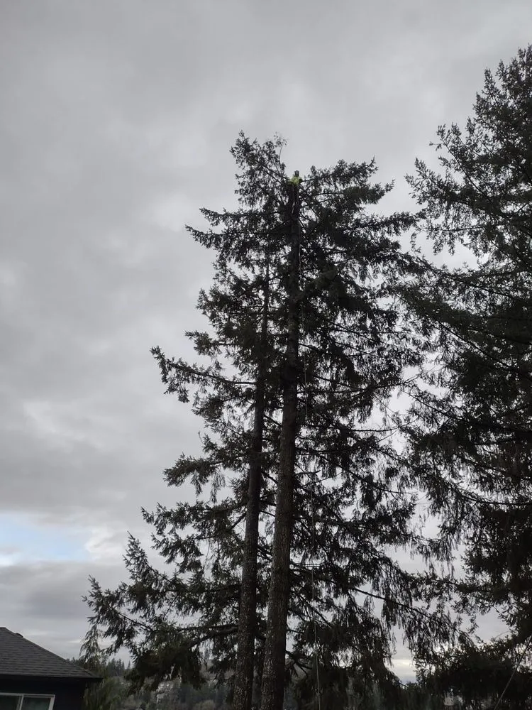 Reliable landscape design in Salem, OR by Glowingview Landscaping