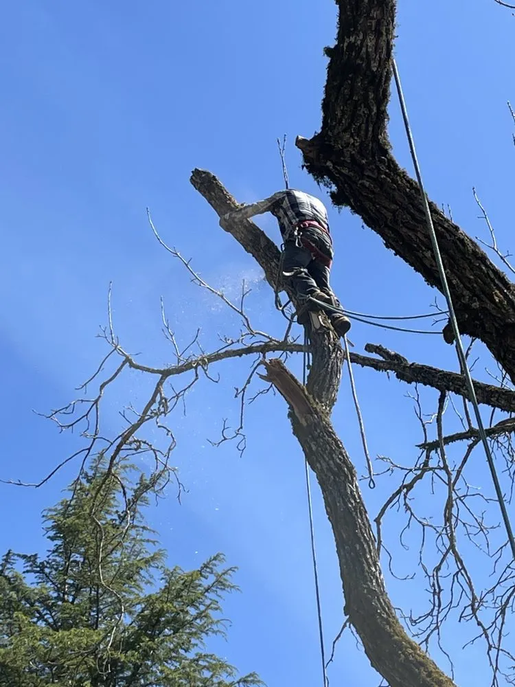 Custom landscape design in Salem, OR - Glowingview Landscaping
