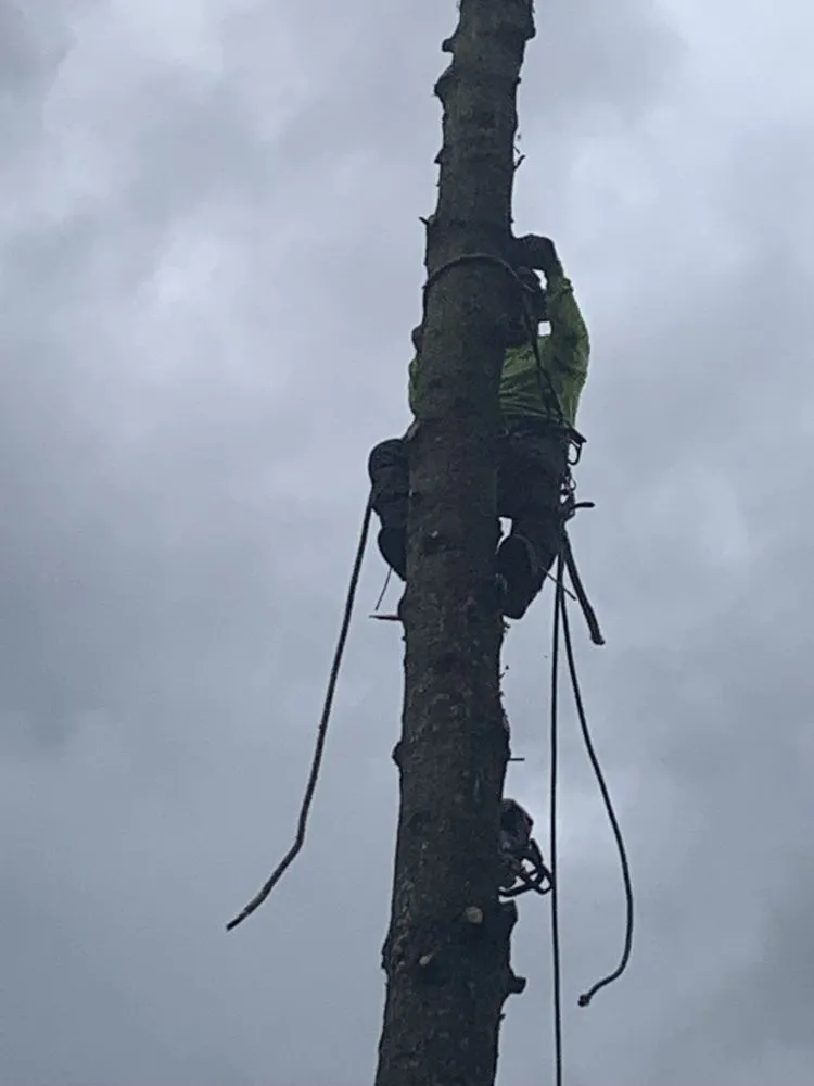 Trusted outdoor landscaping for residential properties across Salem, OR - Glowingview Landscaping