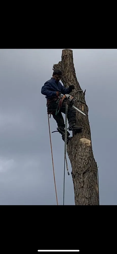 Reliable landscape installation in Salem, OR - Glowingview Landscaping