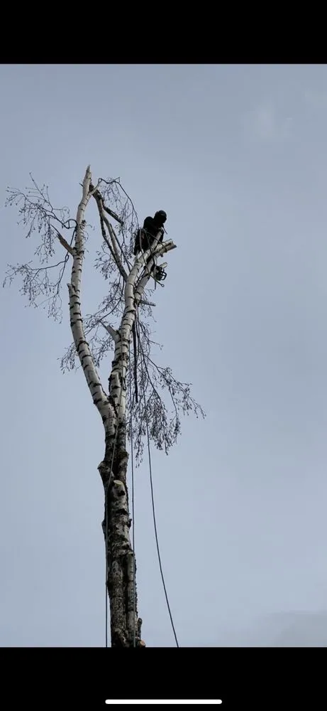 Reliable outdoor landscaping experts serving Salem, OR - Glowingview Landscaping