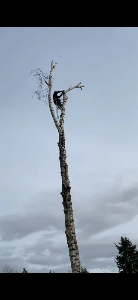 Trusted lawn care service for year-round maintenance in Salem, OR by Glowingview Landscaping