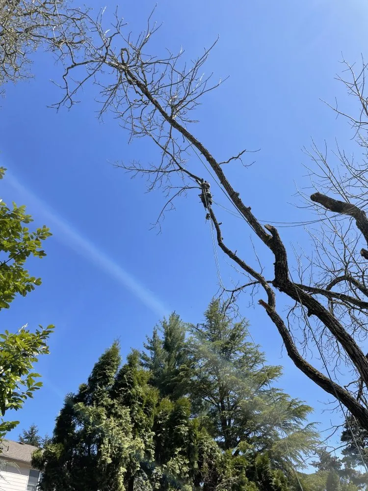 Custom landscaping services with custom design in Salem, OR by Glowingview Landscaping