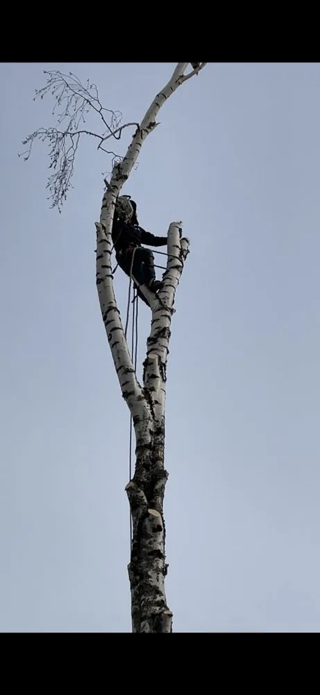 Top-rated landscape installation in Salem, OR by Glowingview Landscaping