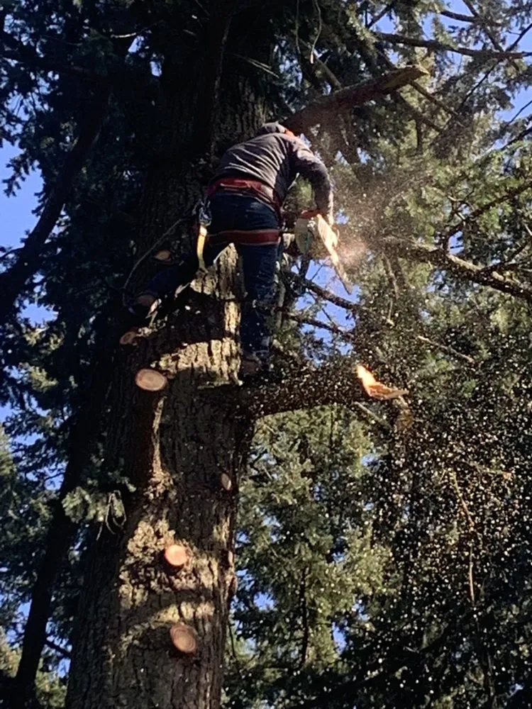 Trusted residential landscaping for outdoor upgrades across Salem, OR - Glowingview Landscaping