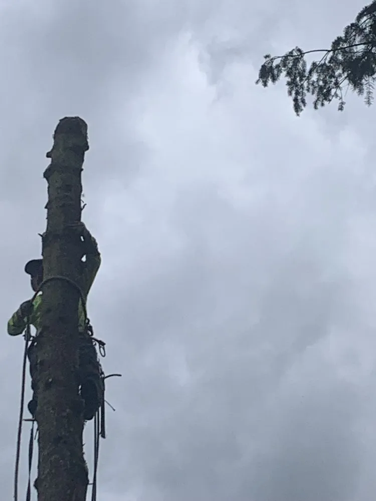 Local landscaping services in Salem, OR - Glowingview Landscaping