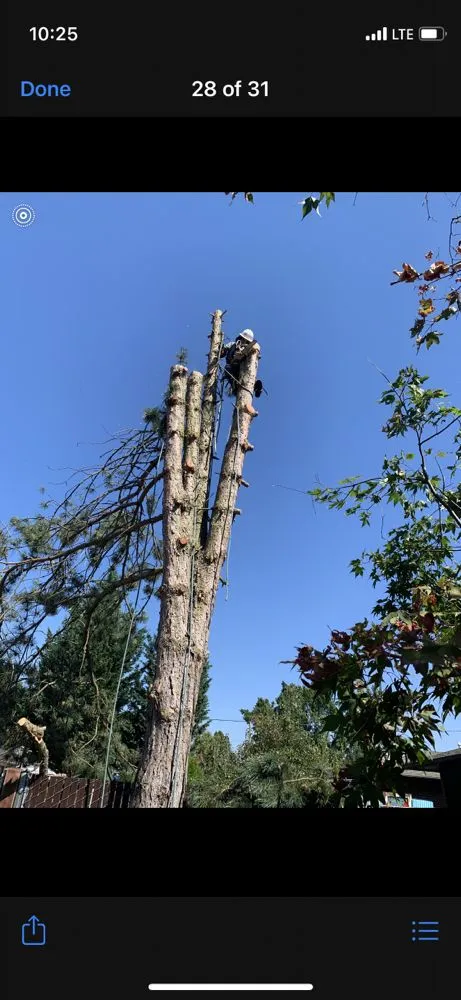 Top-rated yard cleanup service experts serving Salem, OR - Glowingview Landscaping