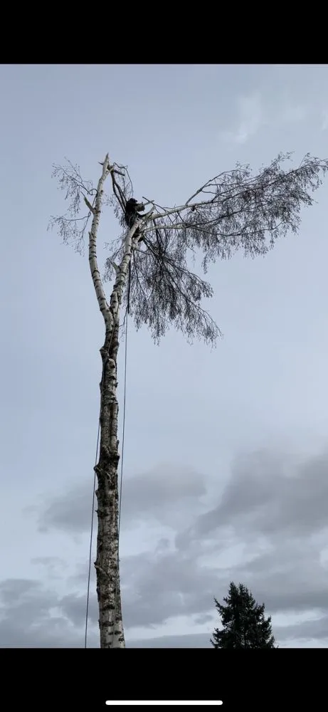 Affordable lawn mowing service in Salem, OR by Glowingview Landscaping