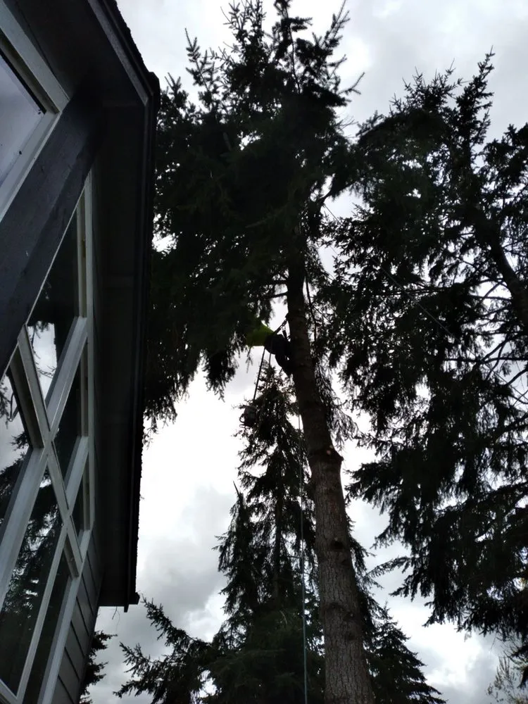 Expert landscaping services with custom design in Salem, OR by Glowingview Landscaping