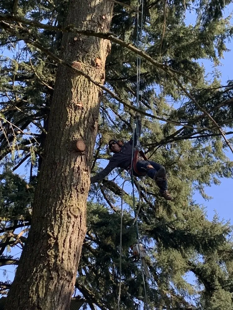 Top-rated landscape installation in Salem, OR by Glowingview Landscaping