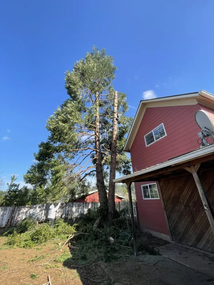 Reliable outdoor landscaping for beautiful yards in Salem, OR by Glowingview Landscaping