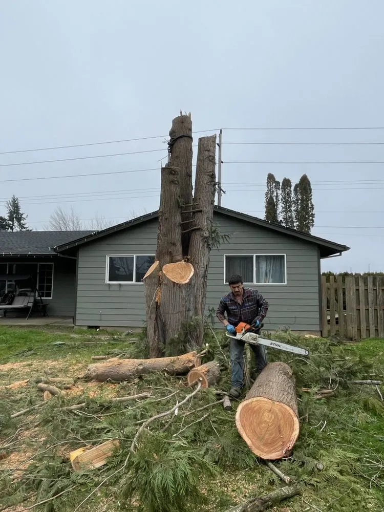 Professional yard maintenance for beautiful yards across Salem, OR - Glowingview Landscaping