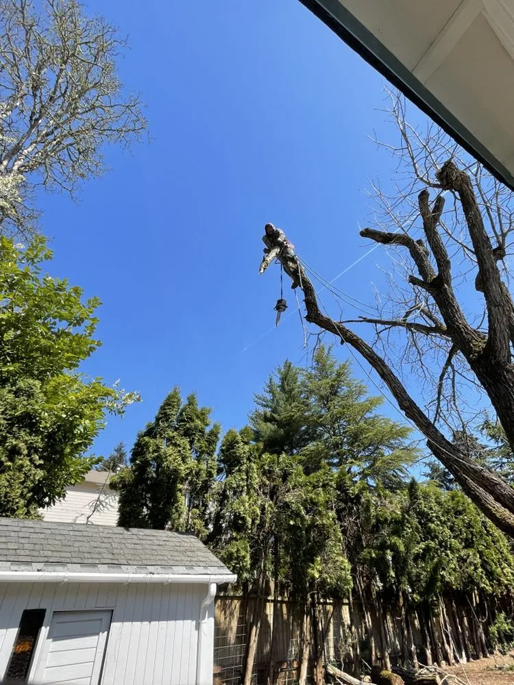 Professional outdoor landscaping for outdoor upgrades across Salem, OR - Glowingview Landscaping