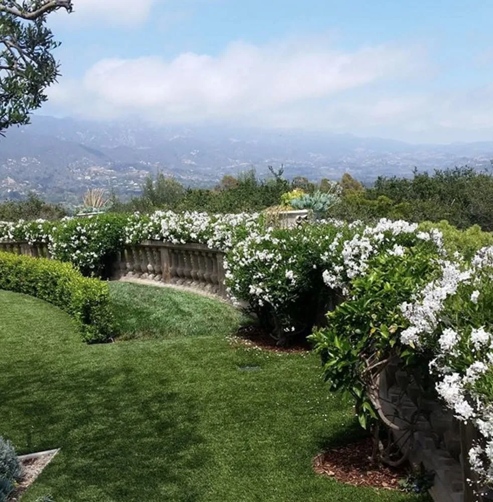 Reliable yard cleanup service in Santa Barbara, CA - GLS Companies