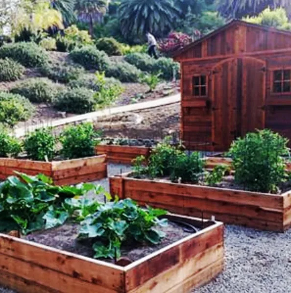 Affordable lawn mowing service in Santa Barbara, CA - GLS Companies