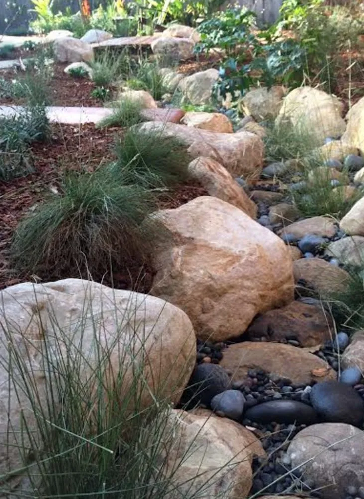 Expert yard cleanup service for beautiful yards across Santa Barbara, CA - GLS Companies