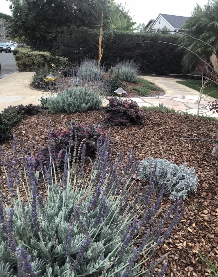 Expert residential landscaping with custom design across Santa Barbara, CA - GLS Companies