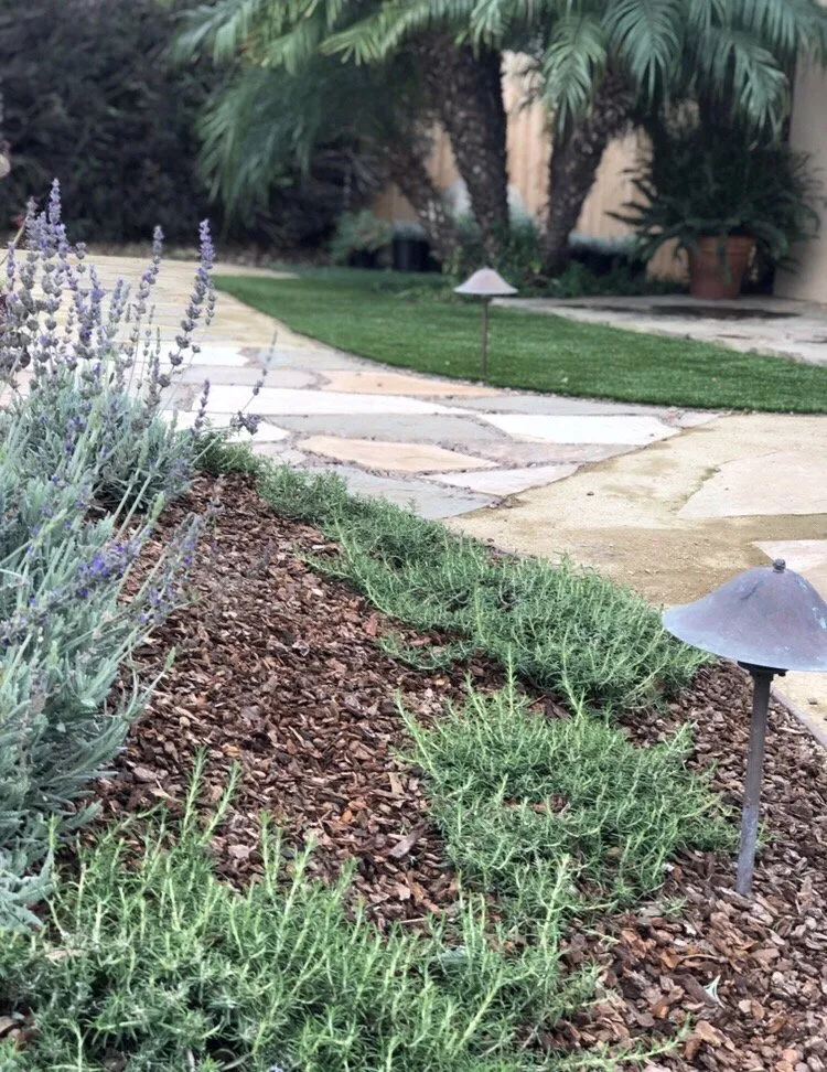 Local outdoor landscaping near you across Santa Barbara, CA - GLS Companies