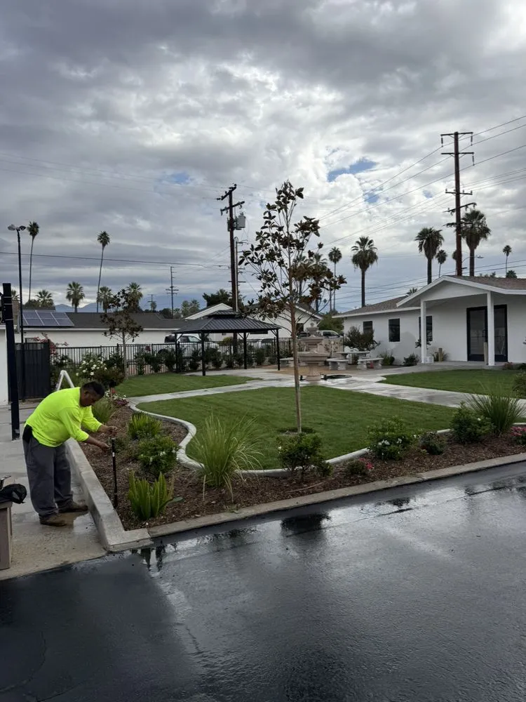 Reliable lawn mowing service experts serving Rialto, CA - GLS Landscape and Maintenance