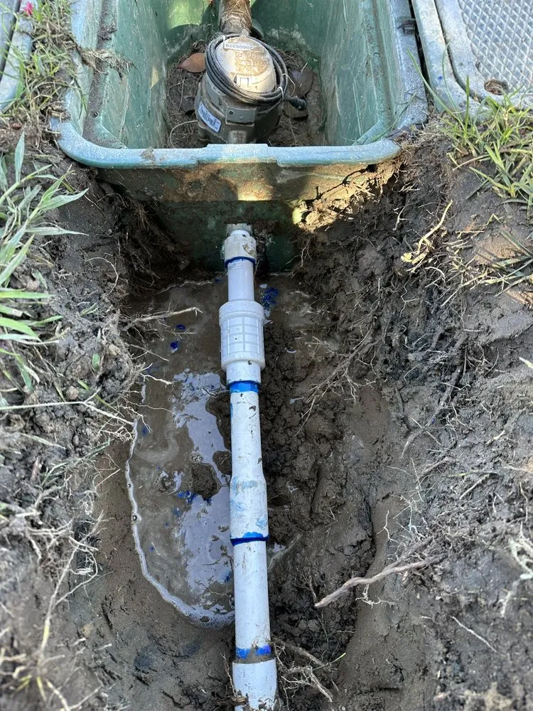 Professional yard cleanup service experts serving Rialto, CA - GLS Landscape and Maintenance