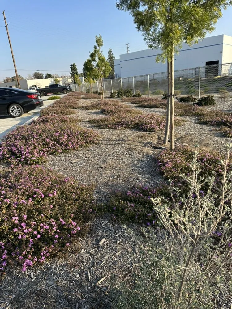 Top-rated garden landscaping for beautiful yards in Rialto, CA by GLS Landscape and Maintenance