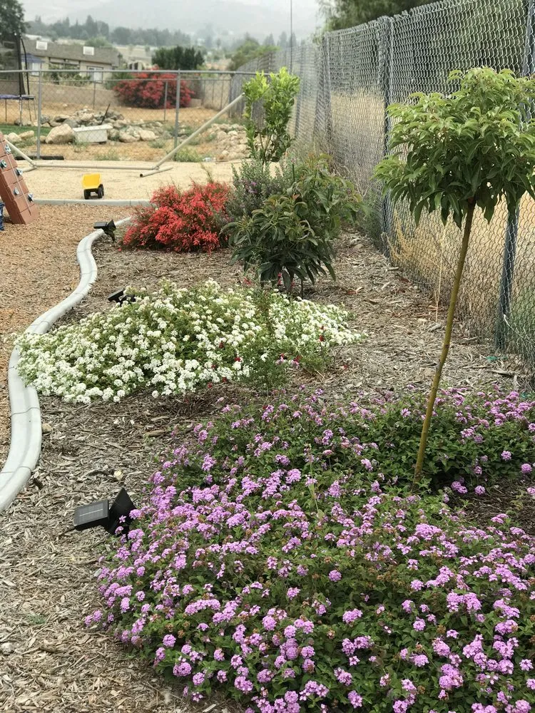 Trusted outdoor landscaping experts serving Rialto, CA - GLS Landscape and Maintenance