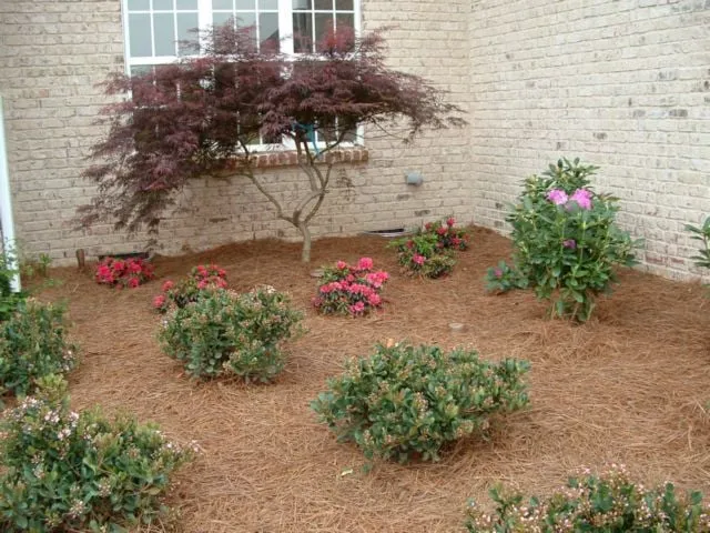 Trusted yard cleanup service for beautiful yards in Oak Ridge, NC by GLS Landscaping and Maintenance