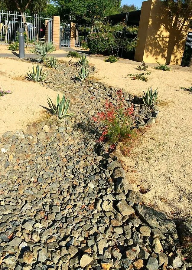 Expert yard maintenance in Desert Hot Springs, CA by GLS Landscaping