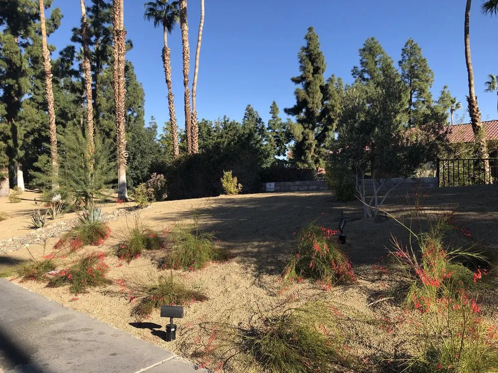 Top-rated residential landscaping experts serving Desert Hot Springs, CA - GLS Landscaping