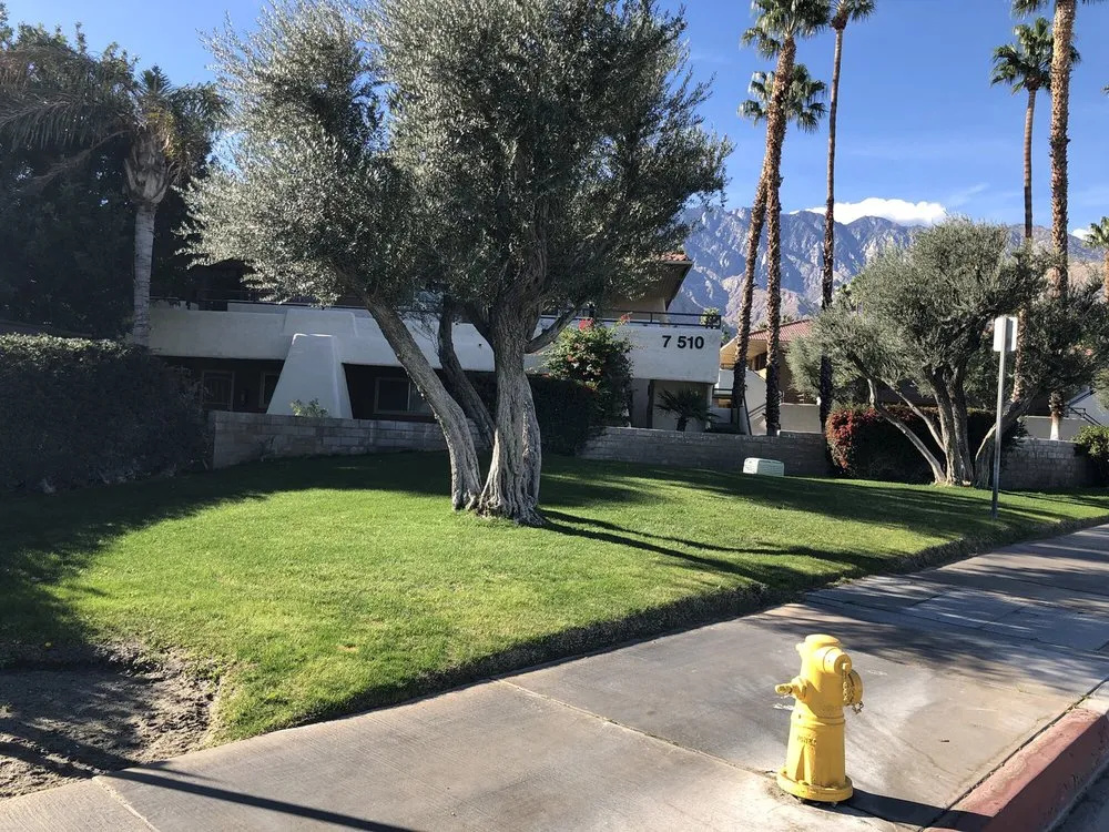 Custom landscaping services in Desert Hot Springs, CA - GLS Landscaping