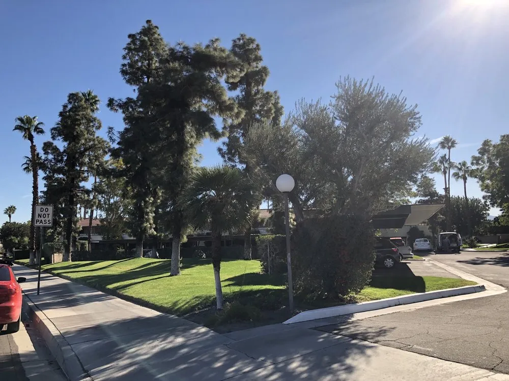 Local yard maintenance with custom design in Desert Hot Springs, CA by GLS Landscaping