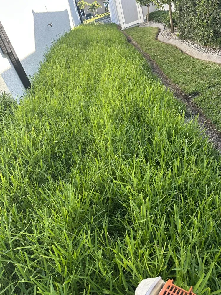 Expert outdoor landscaping in Fort Myers, FL by GLS Landscaping