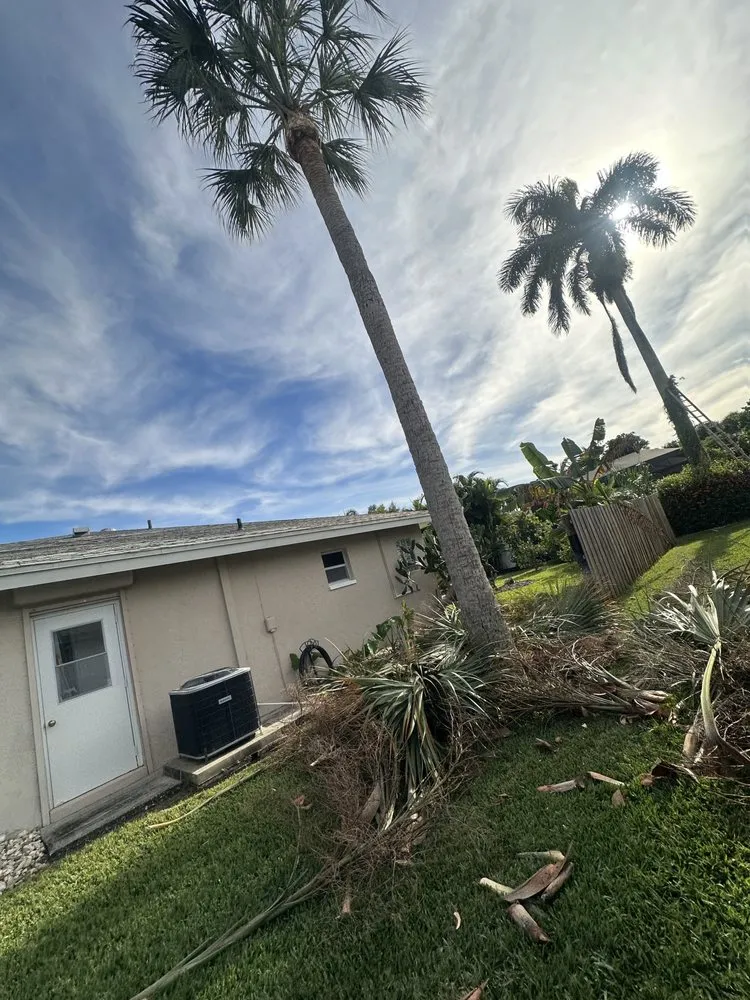 Affordable yard cleanup service near you in Fort Myers, FL by GLS Landscaping