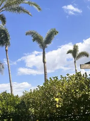 GLS Landscaping Logo