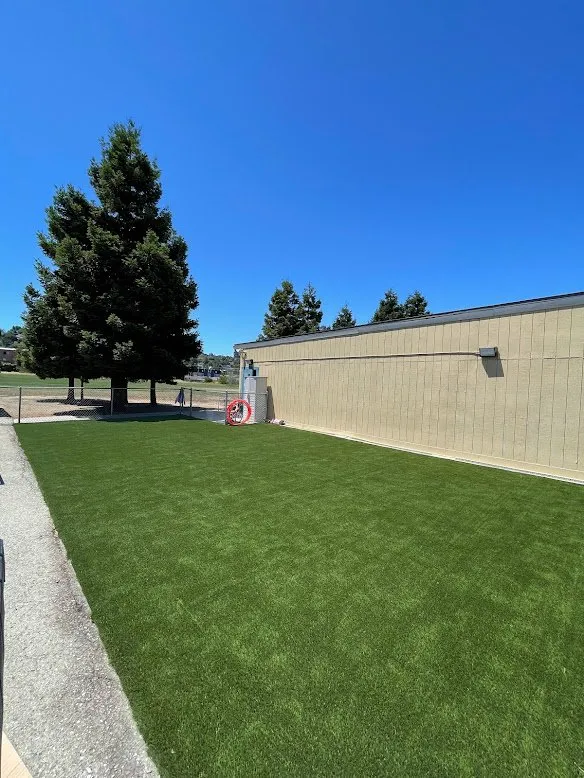 Expert lawn mowing service experts serving Daly City, CA - Glscapes
