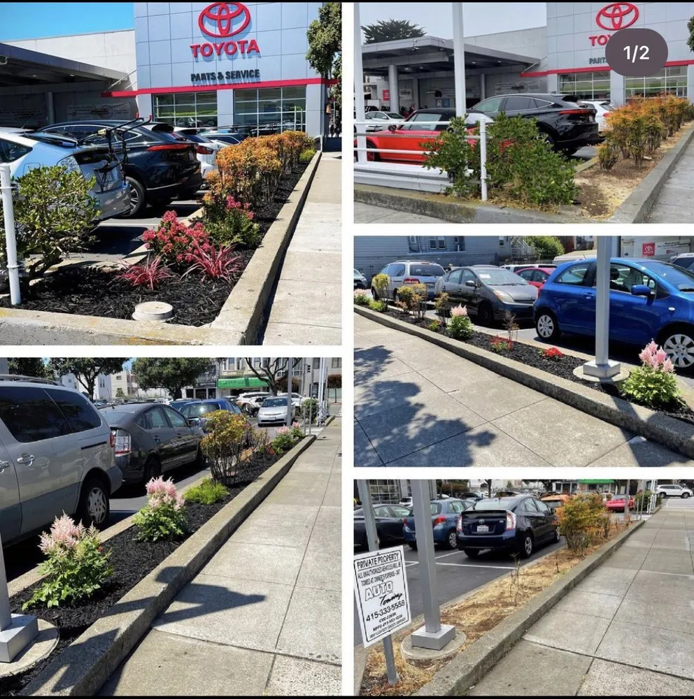 Affordable lawn mowing service with custom design across Daly City, CA - Glscapes