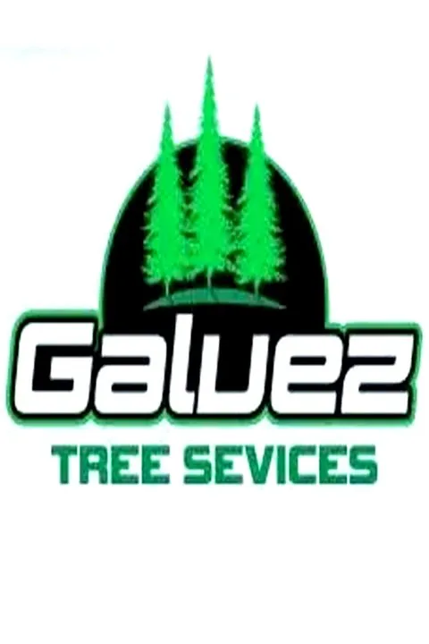 Professional landscaping services experts serving Warrenton, VA - Gálvez Tree Services