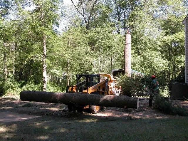 Custom landscape design for year-round maintenance in Hanover, MA by Glynn Tree Experts