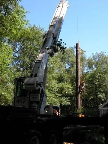 Local yard cleanup service for outdoor upgrades in Hanover, MA by Glynn Tree Experts