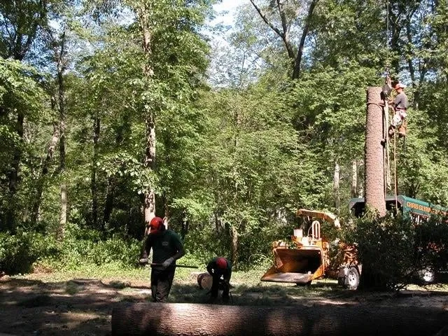 Expert landscaping services for year-round maintenance in Hanover, MA by Glynn Tree Experts