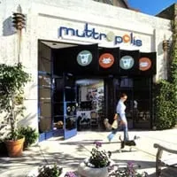 Custom landscaping services for year-round maintenance across Hanover, MA - Glynn Tree Experts