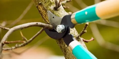 Reliable landscape installation in Nicholasville, KY by Glynn Young's Landscaping & Nursery Center