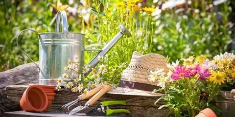 Expert residential landscaping for outdoor upgrades in Nicholasville, KY by Glynn Young's Landscaping & Nursery Center