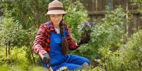 Local residential landscaping for year-round maintenance in Nicholasville, KY by Glynn Young's Landscaping & Nursery Center
