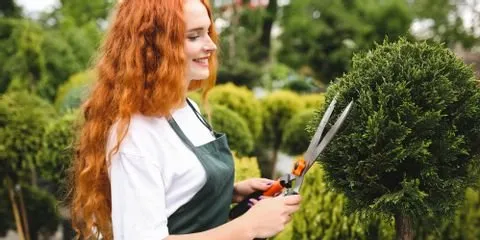 Custom lawn care service in Nicholasville, KY - Glynn Young's Landscaping & Nursery Center